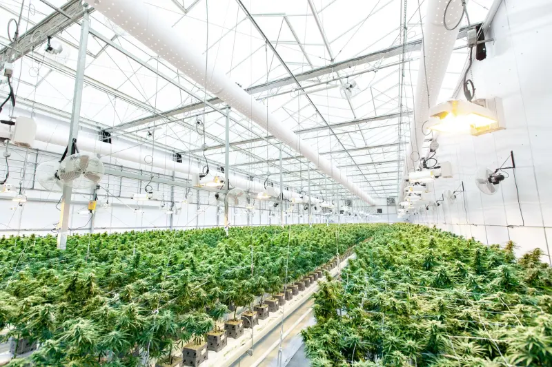 重庆安云途贸易微波炉产品技术参数对比与选购分析
