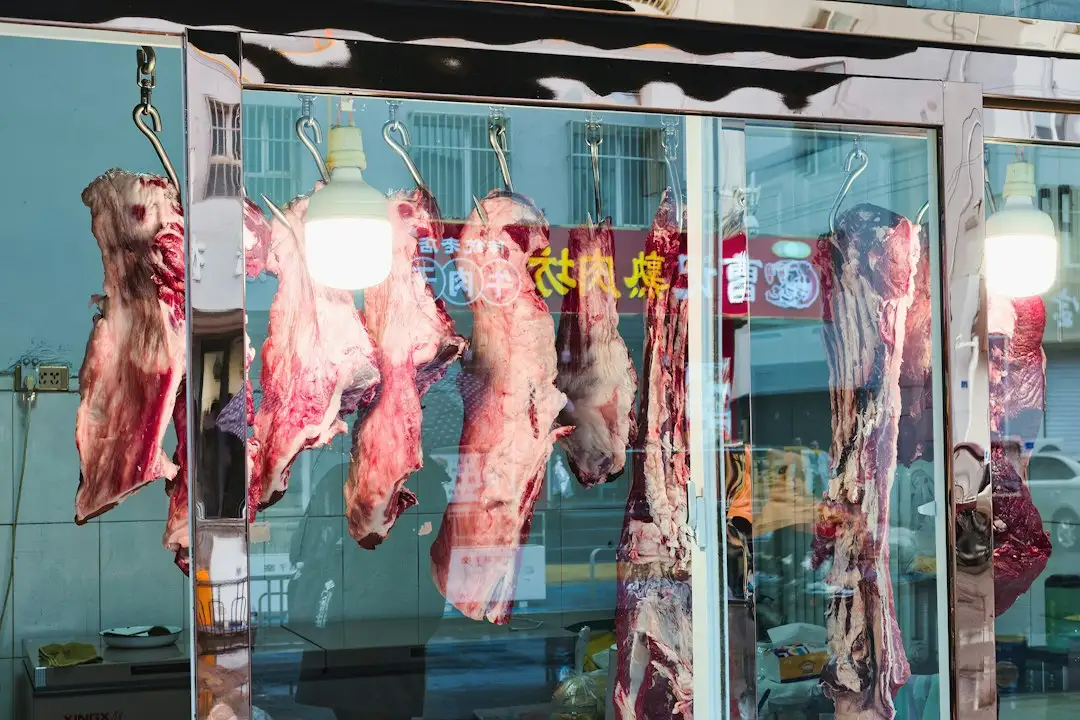 重庆商用微波炉选购要点：安云途分析餐饮后厨效率提升方案